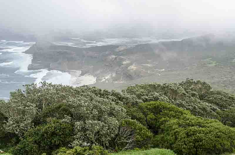50 - Sudafrica - parque nacional Table Mountain - paisaje desde Cape Point
